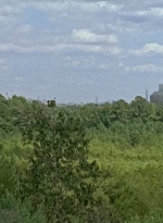 twd0709-2296.jpg