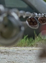 twd0709-2351.jpg