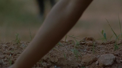 Click to view full size image
==============
twd0714-0426.jpg twd0714-0426.jpg