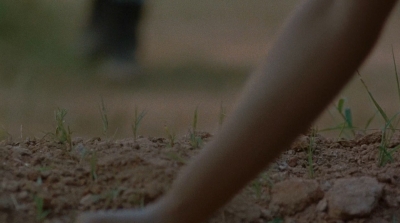 Click to view full size image
==============
twd0714-0427.jpg twd0714-0427.jpg