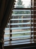 twd0714-0411.jpg