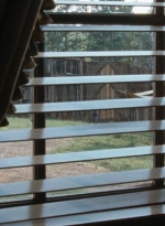 twd0714-0413.jpg
