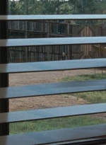 twd0714-0418.jpg