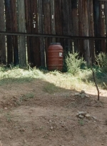 twd0714-0442.jpg
