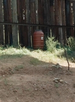twd0714-0443.jpg