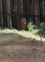 twd0714-0444.jpg