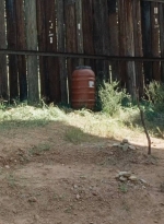 twd0714-0445.jpg