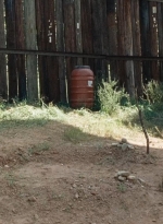 twd0714-0448.jpg