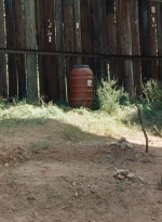 twd0714-0450.jpg