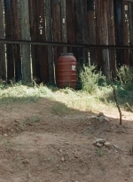 twd0714-0453.jpg