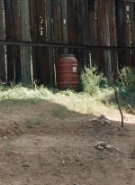 twd0714-0454.jpg