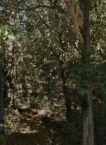 twd0714-1139.jpg