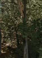 twd0714-1140.jpg