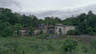 twd0803-1280.jpg