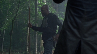 twd0803-1367.jpg