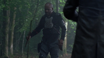 twd0803-1368.jpg