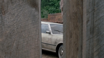 twd0803-1641.jpg