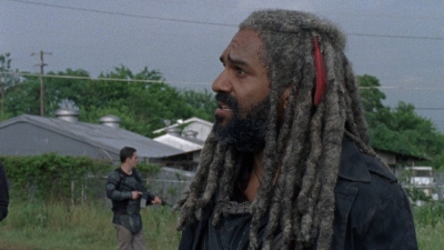 twd0803-2507.jpg