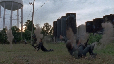 twd0803-2517.jpg