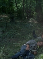 twd0803-0122.jpg