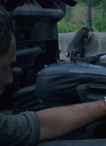 twd0803-2345.jpg