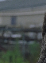 twd0803-2479.jpg