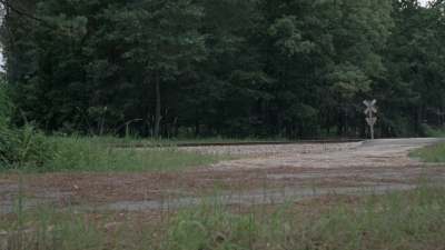 twd0806-0038.jpg