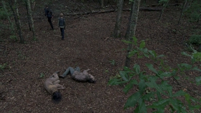 twd0806-1421.jpg