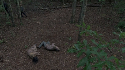 twd0806-1424.jpg