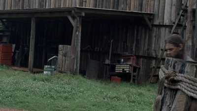 twd0806-1454.jpg
