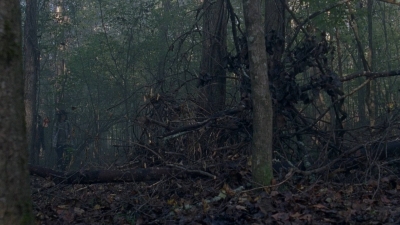 twd0806-1580.jpg