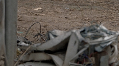 twd0806-2577.jpg