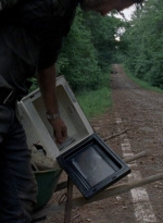 twd0806-0011.jpg