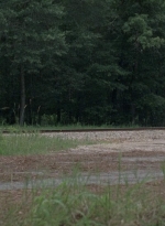 twd0806-0039.jpg