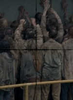 twd0806-0177.jpg