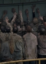 twd0806-0178.jpg