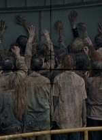 twd0806-0179.jpg