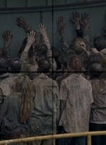 twd0806-0180.jpg