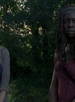 twd0806-1100.jpg