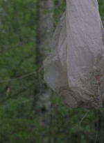 twd0806-1114.jpg