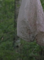 twd0806-1115.jpg