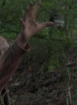 twd0806-1118.jpg