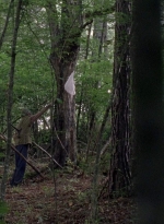 twd0806-1124.jpg