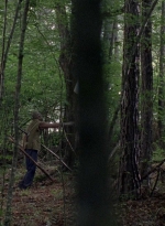 twd0806-1127.jpg