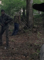 twd0806-1250.jpg