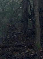 twd0806-1580.jpg