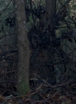 twd0806-1583.jpg