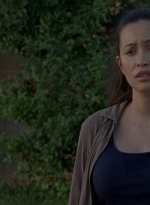 twd0806-1998.jpg