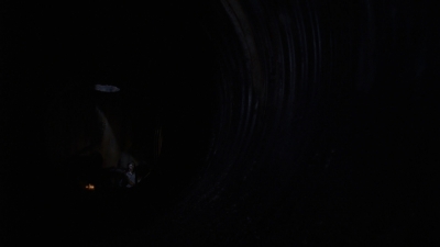 twd0808-3819.jpg