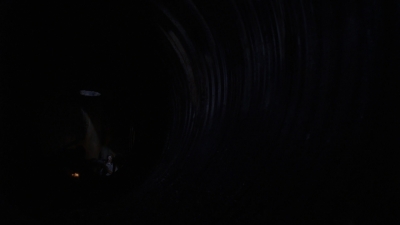 twd0808-3822.jpg